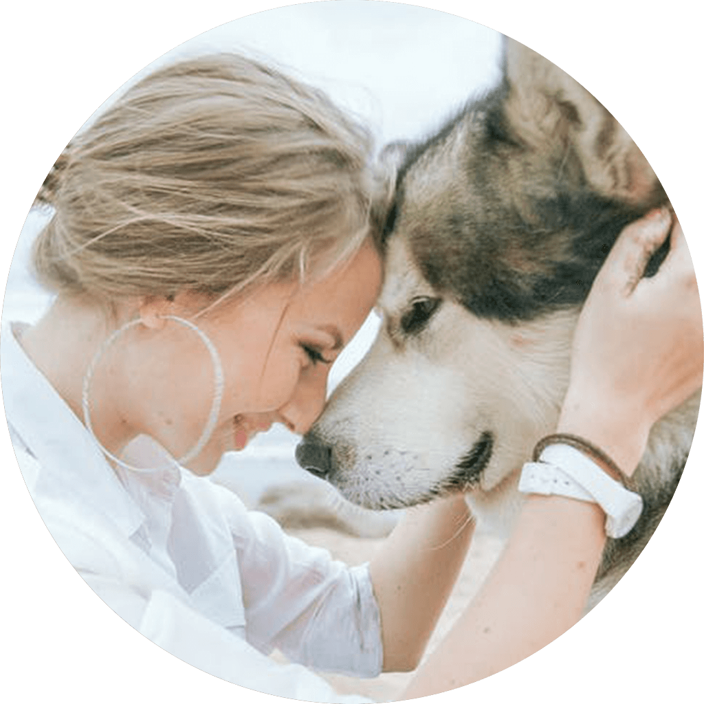 Questions To Ask New Pet Owners