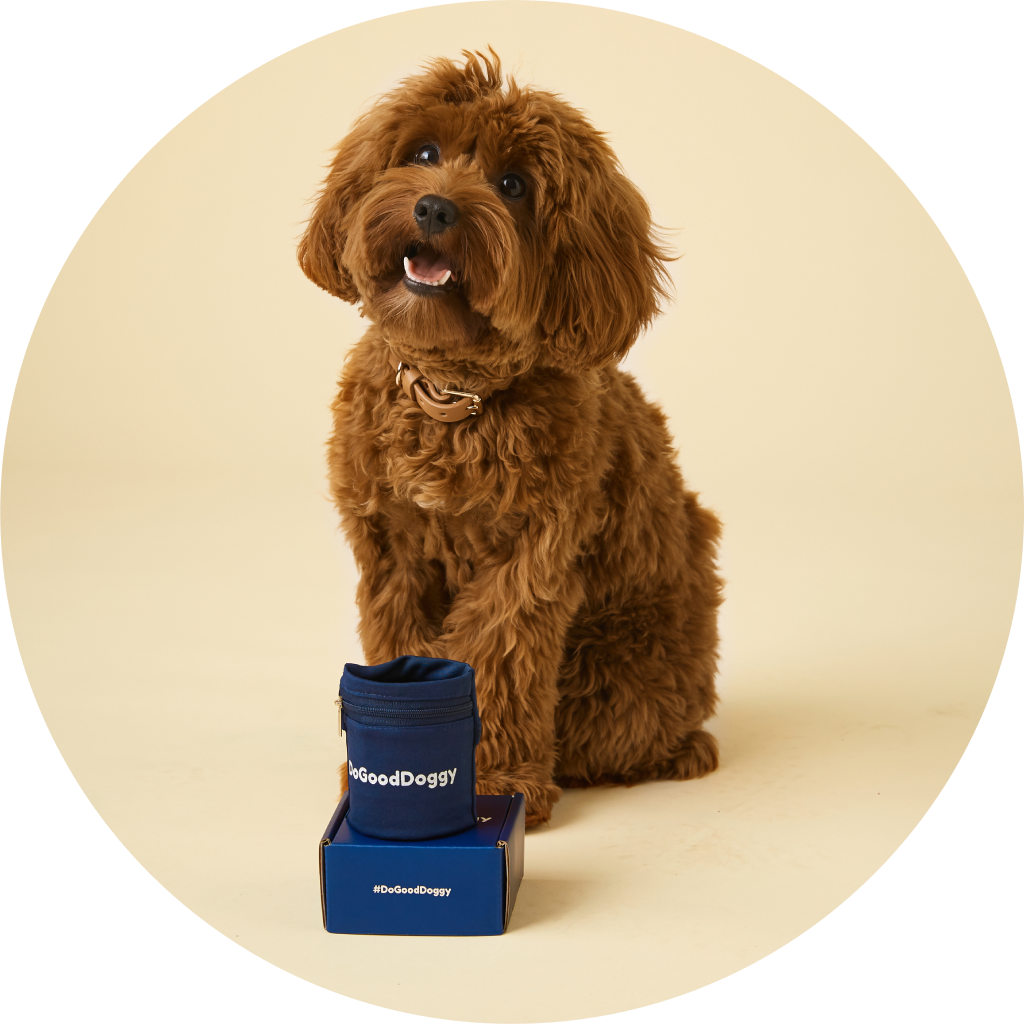 DoGoodDoggy Puppy Owner