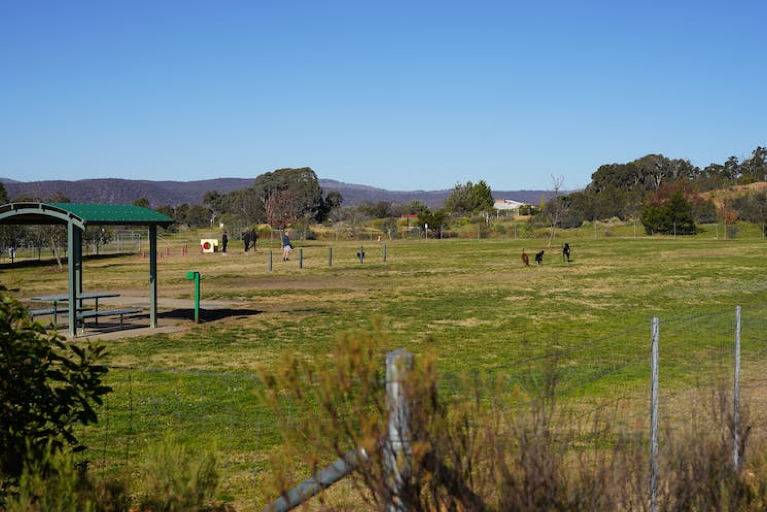 Dog Breeders Canberra ACT Responsible Pet Breeders