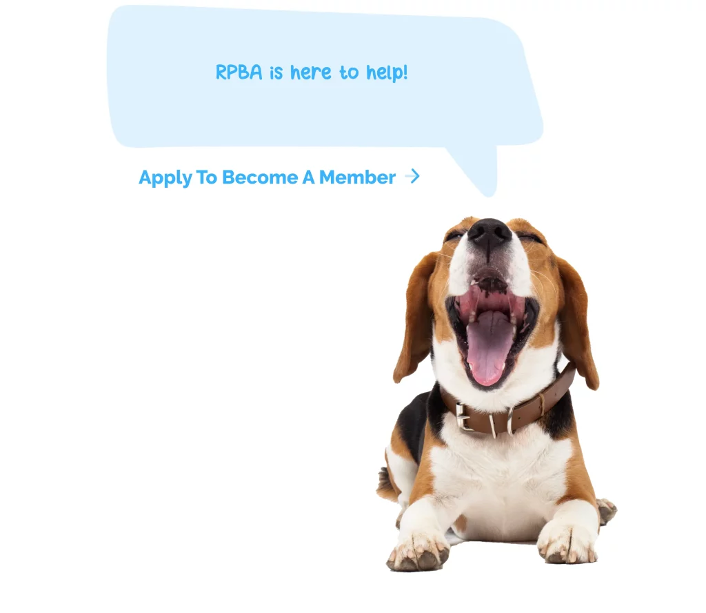 How To A Registered Dog Breeder Responsible Pet Breeders Australia