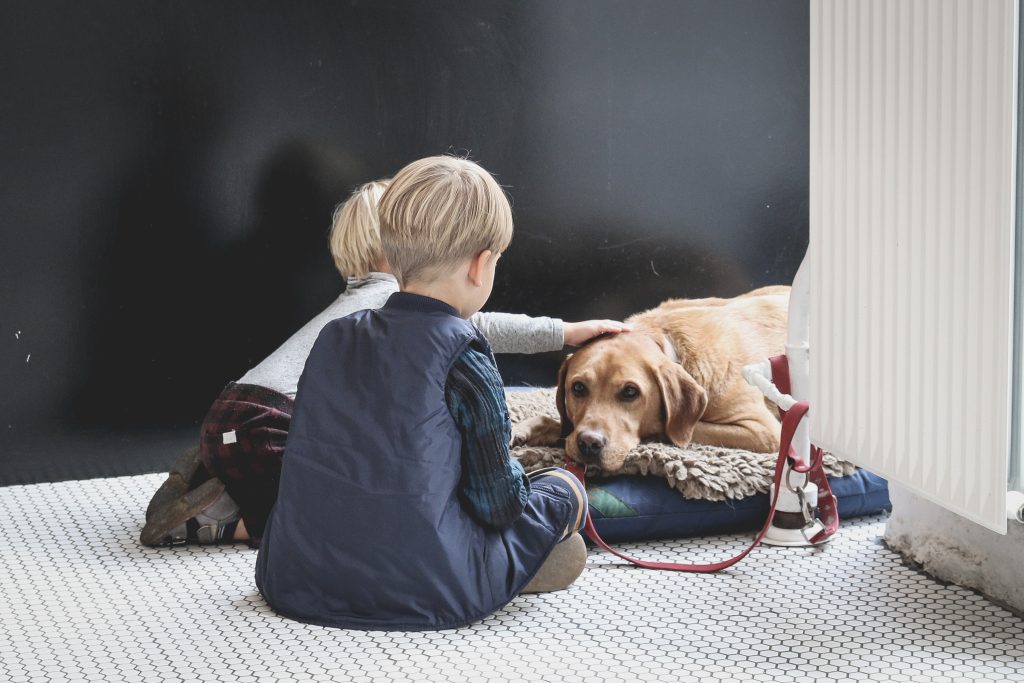 labrador being petted by kids