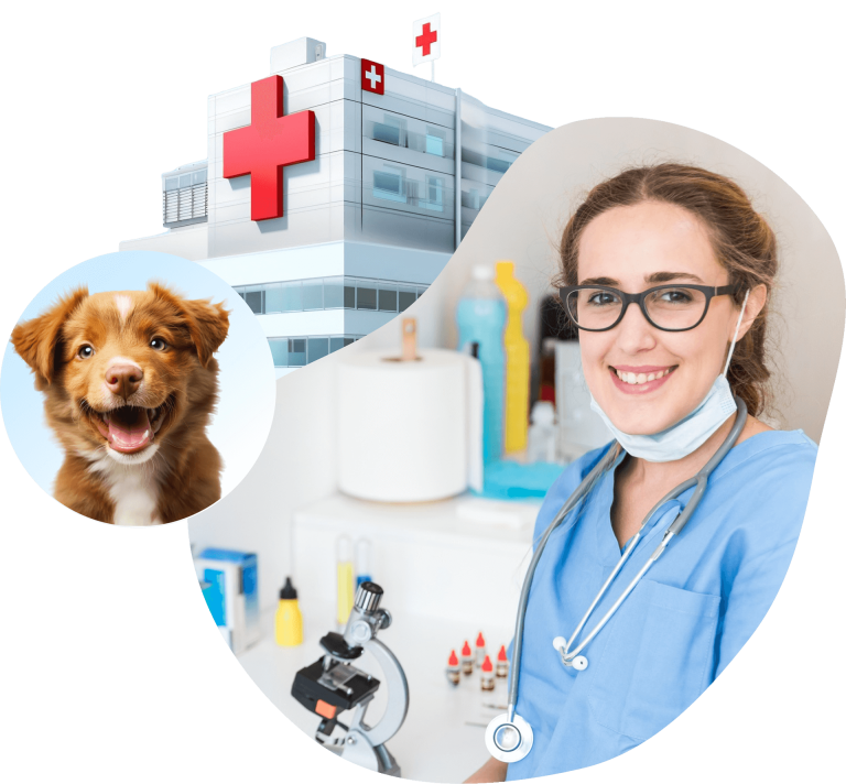 RPBA Vet Clinics Responsible Pet Breeders