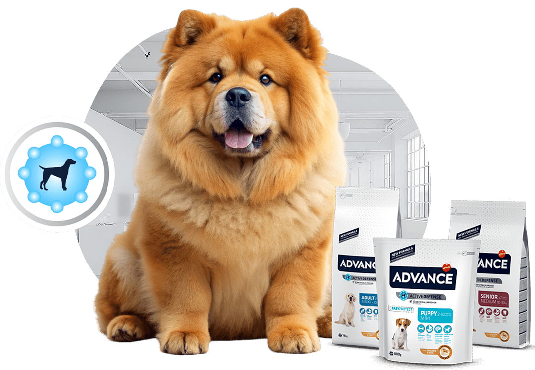Advance Discount Australia – Exclusive Advance Pet Food Savings, RPBA ...