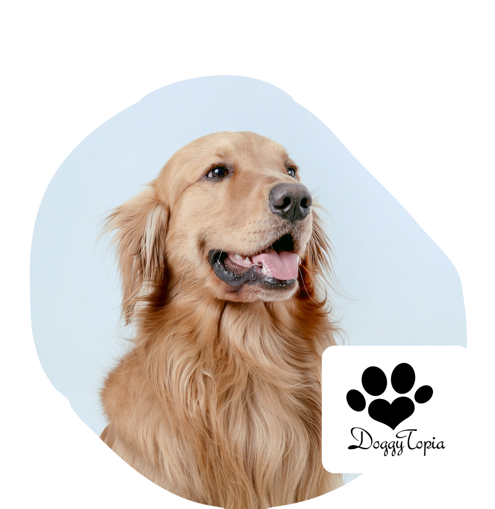 Doggytopia Discount
