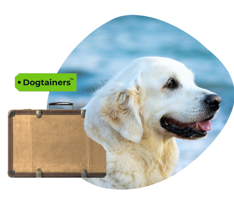 Dogtainers Discount hero