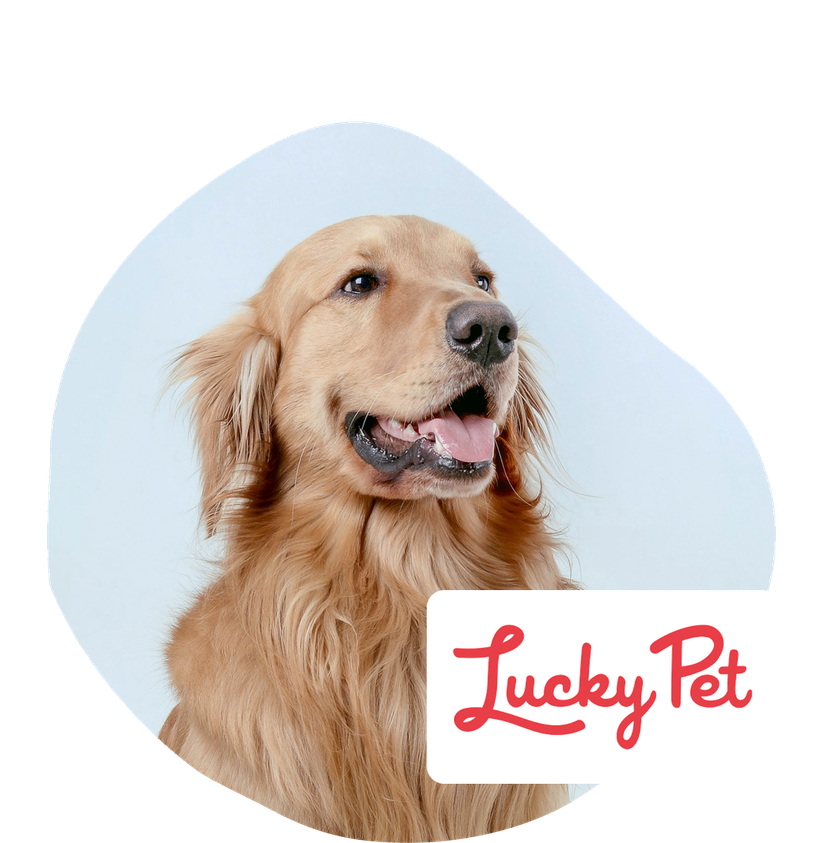 Lucky Pet discount