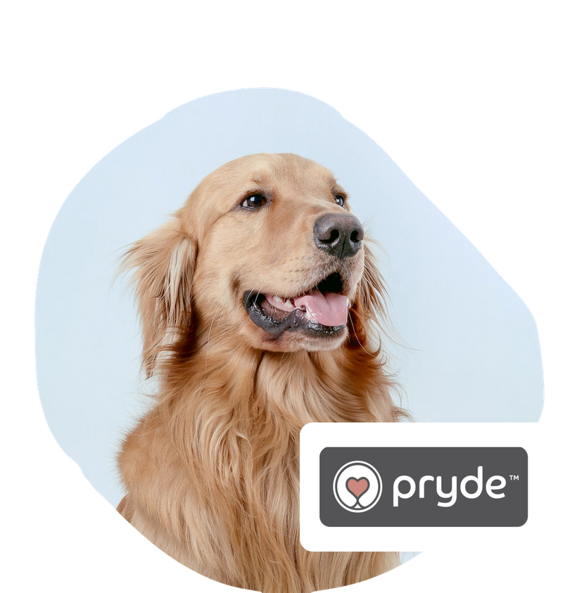 pryde pets discount