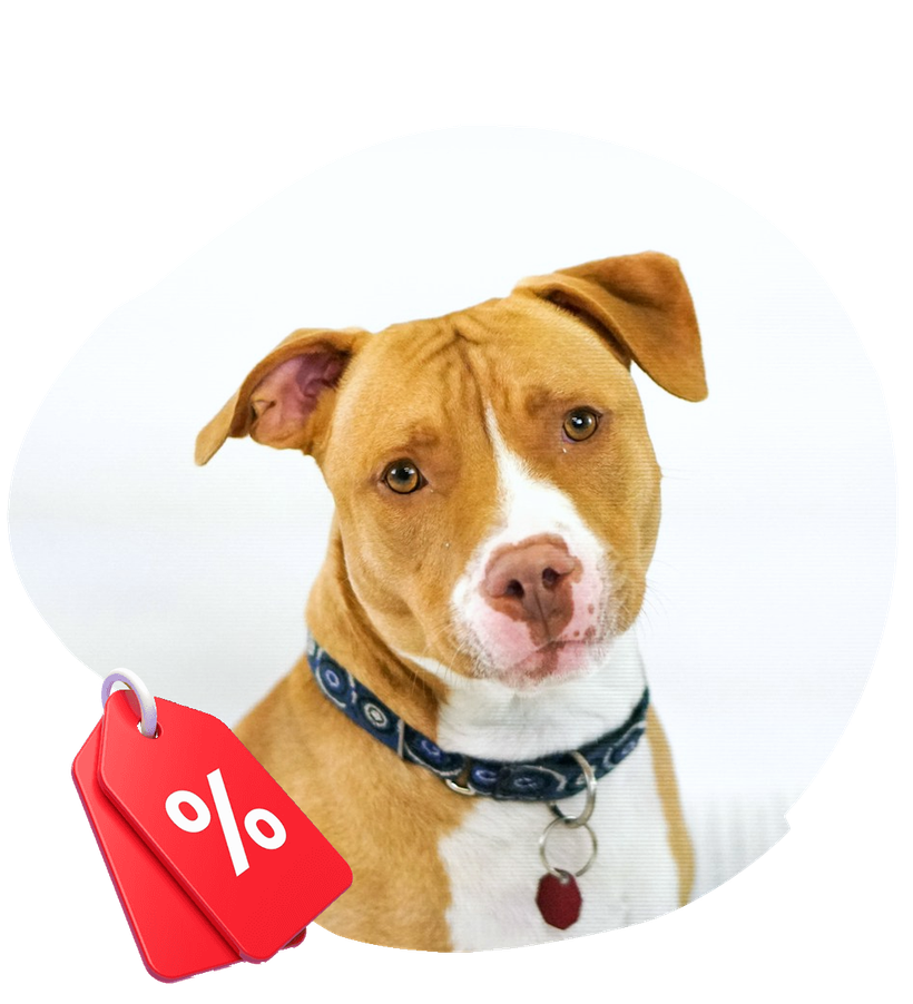 Bullymake Discounts for RPBA Members