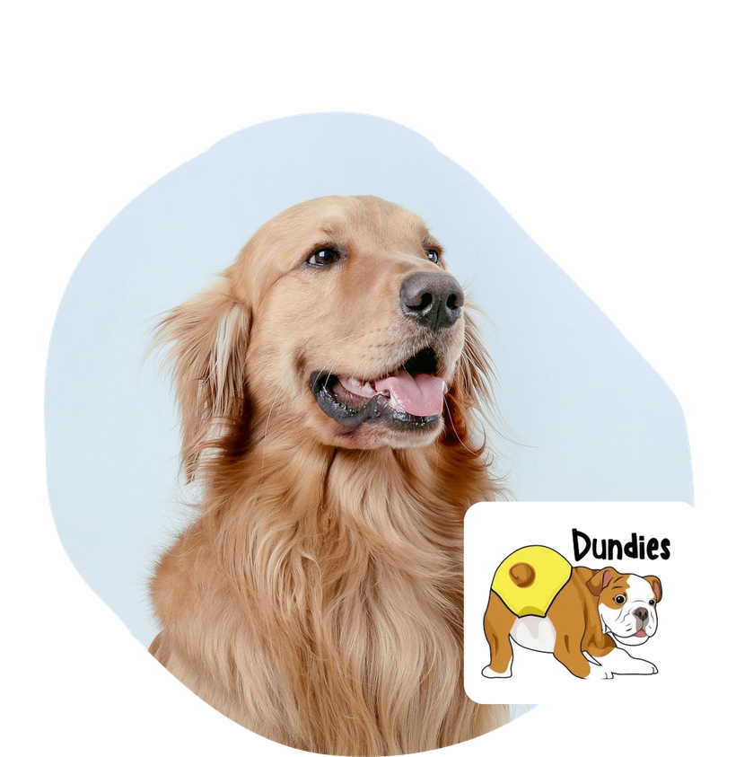 Dundies discount
