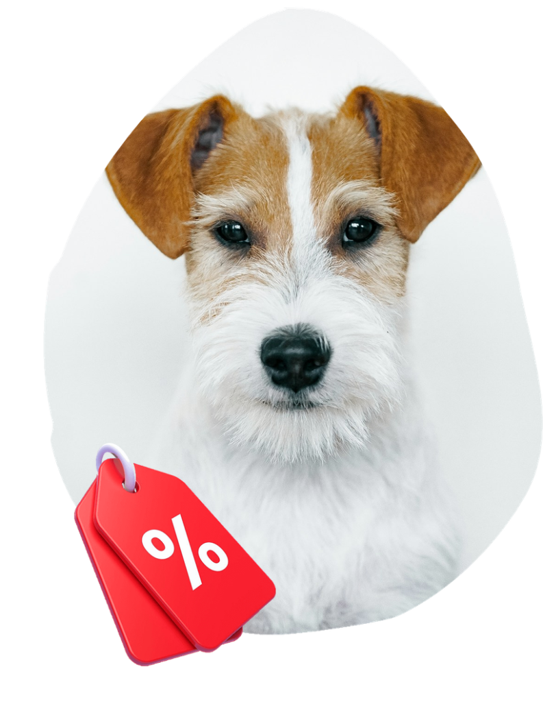Discounts for RPBA Members Dogtainers™