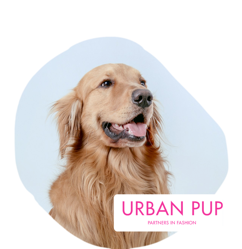 Urban Pup discount