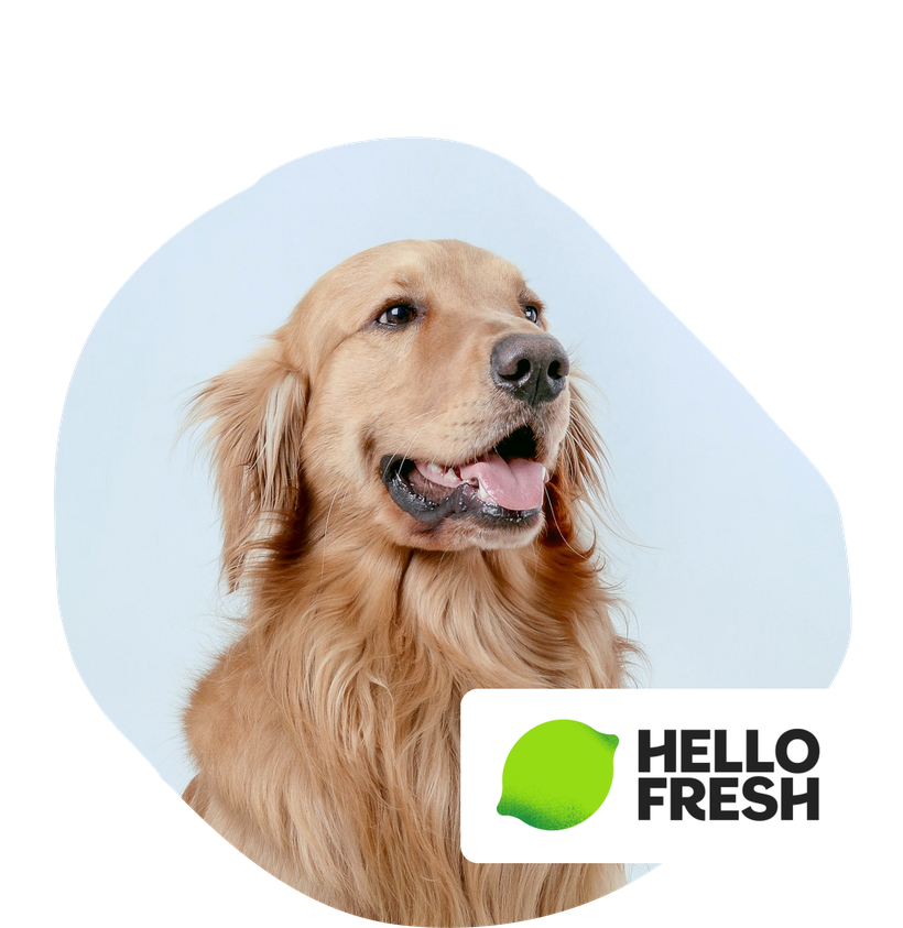 hellofresh discount