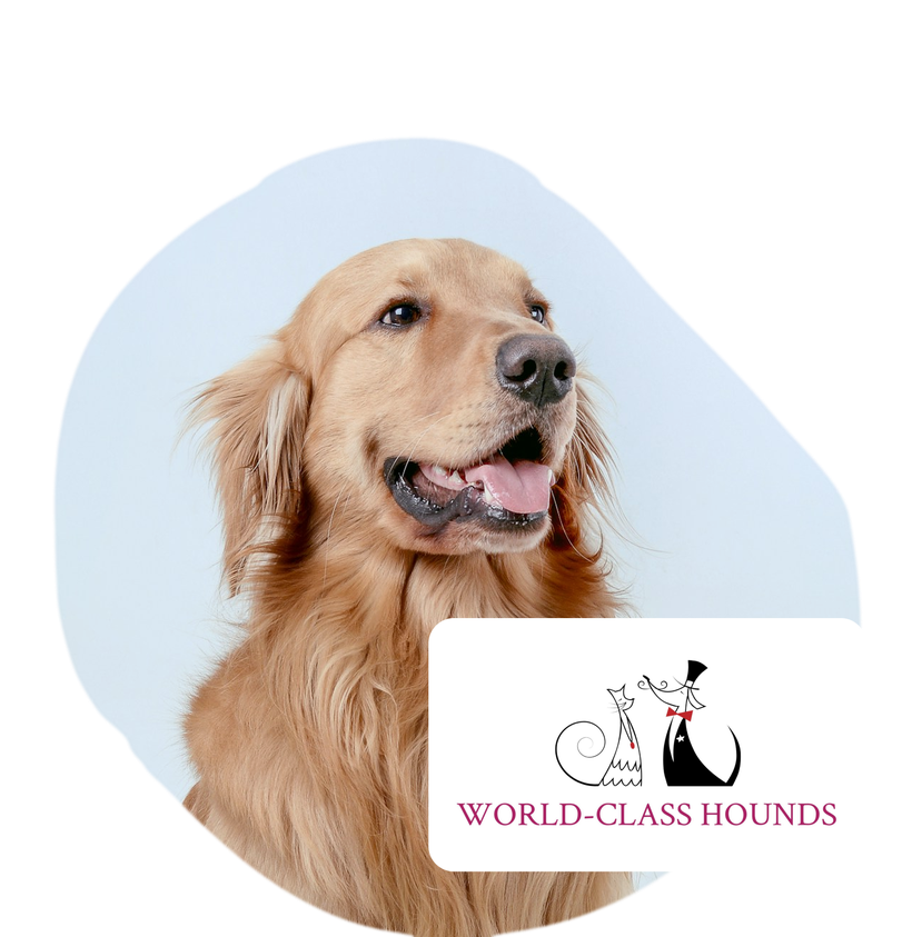 World-Class Hounds Discount