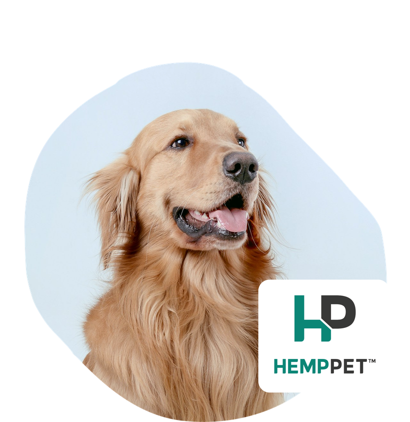 HempPet Discount Banner