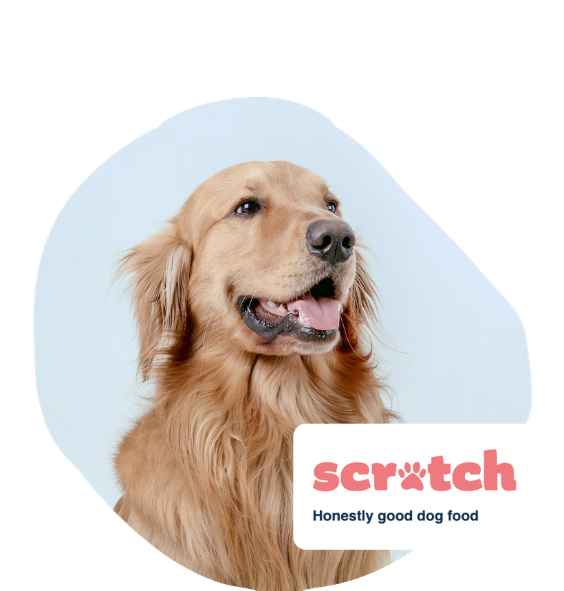 Scratch Pet Food Discount Banner