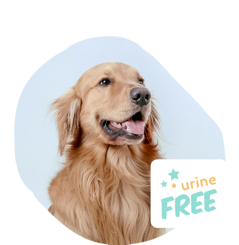 urineFREE discount banner