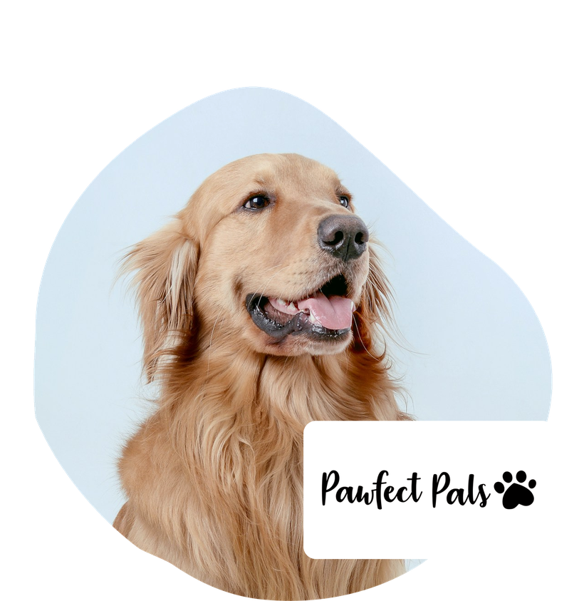 Pawfect Pals discount banner