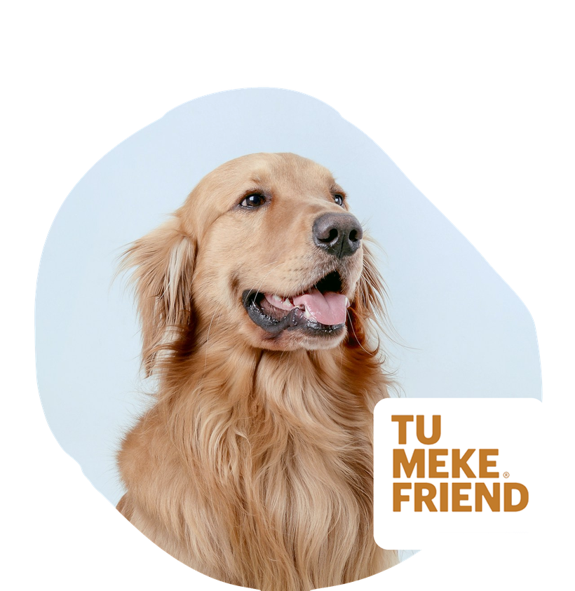 Tu Meke Friend discount banner