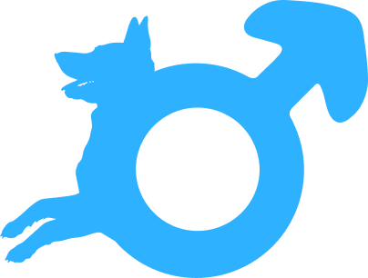 Canine Stud Contract