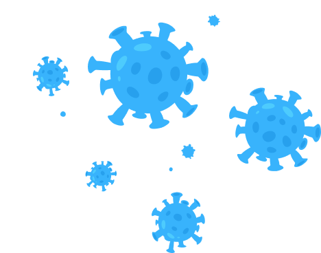 Canine Parvovirus