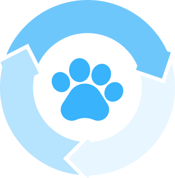 Canine Heat Cycle