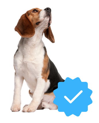 Dog Breeder Licenses
