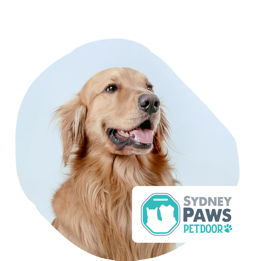 sydney paws petdoor discount