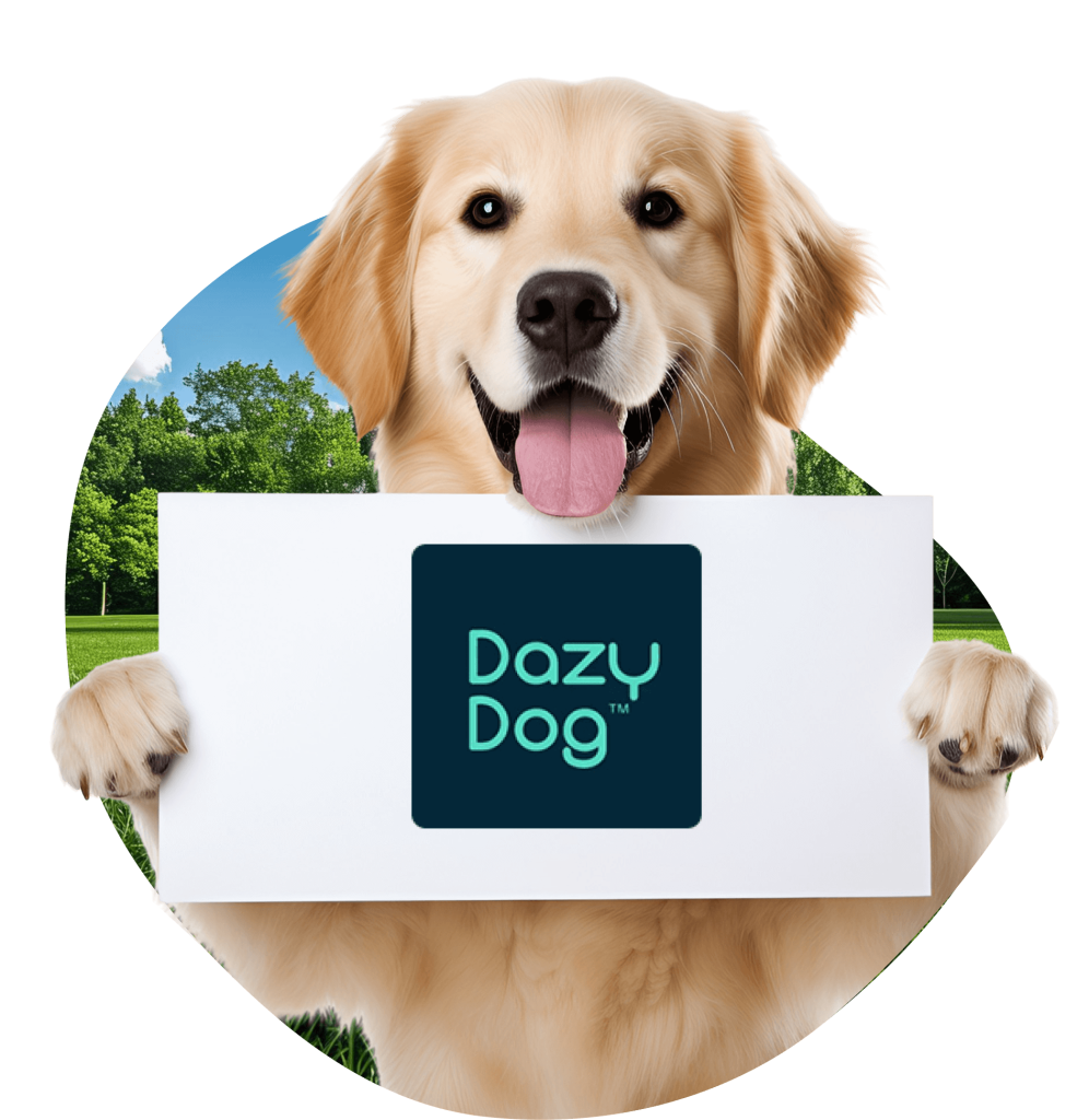 dazy dog discount