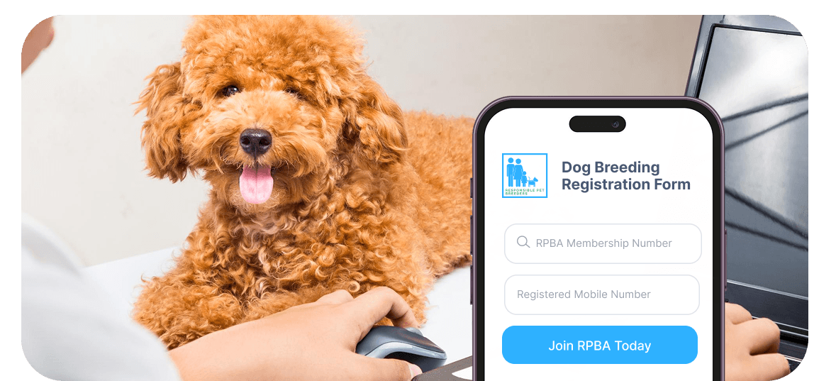 Dog breeding registration