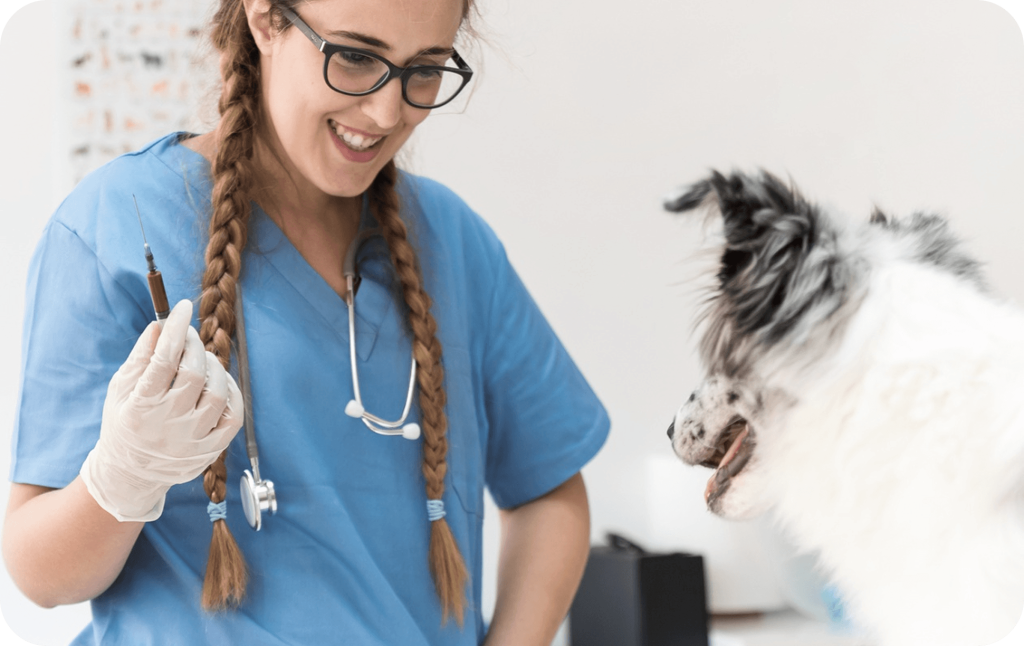 Vet checkup