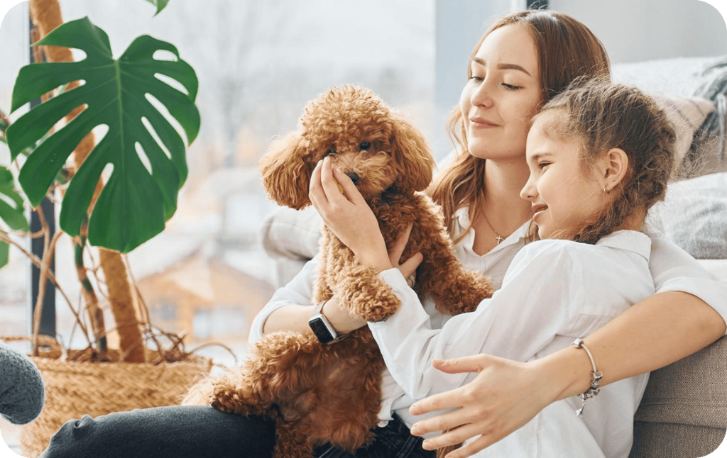Your Commitment Doesn't End at Dog Adoption