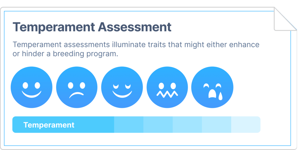 Temperament Testing template